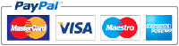 Paypal Visa Mastercard logo